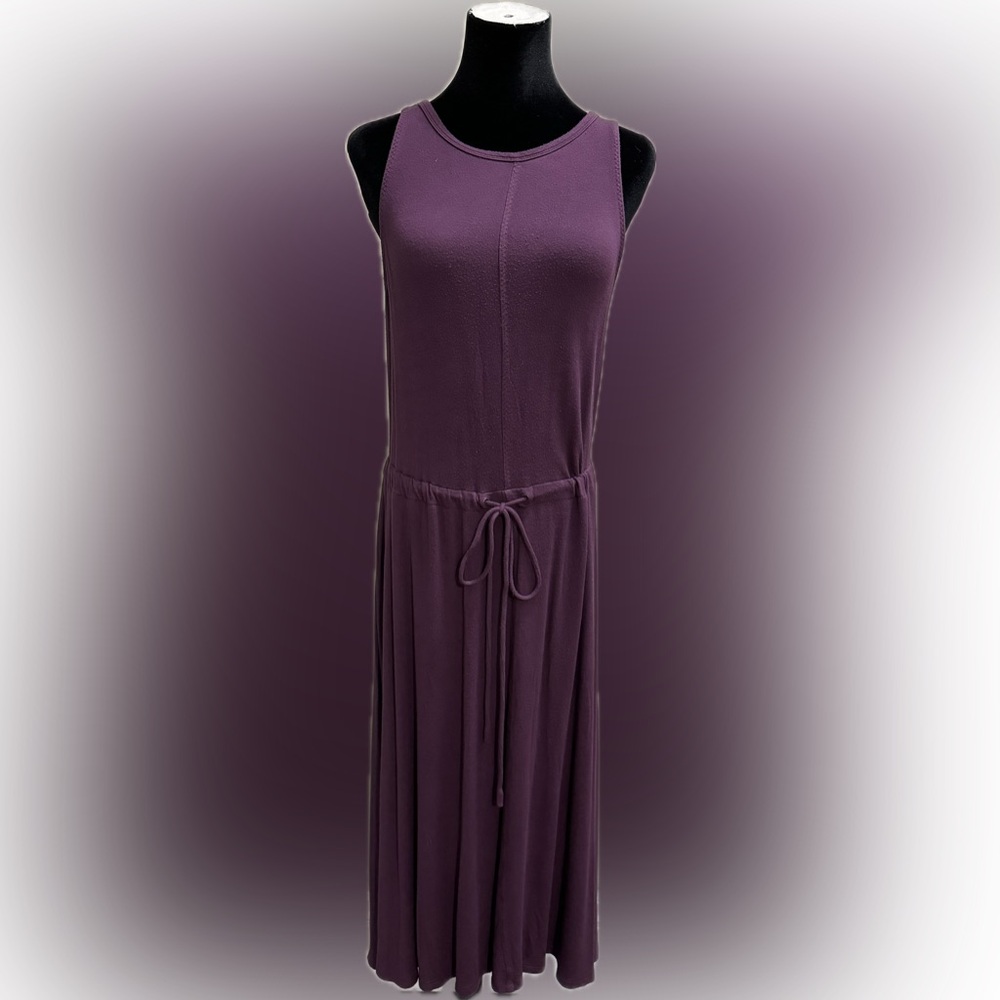 The Limited // Purple Maxi Dress // Drawstring Waistband